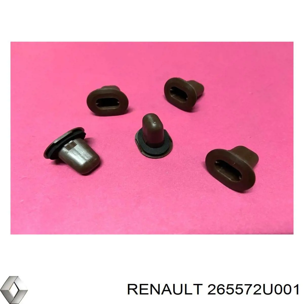 265572U001 Renault (RVI) 