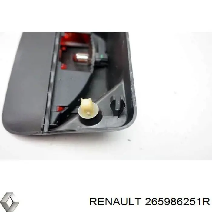 265986251R Renault (RVI) 