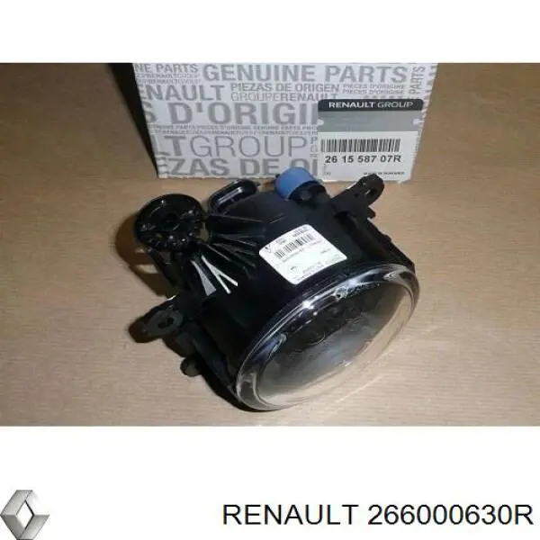266000630R Renault (RVI) 