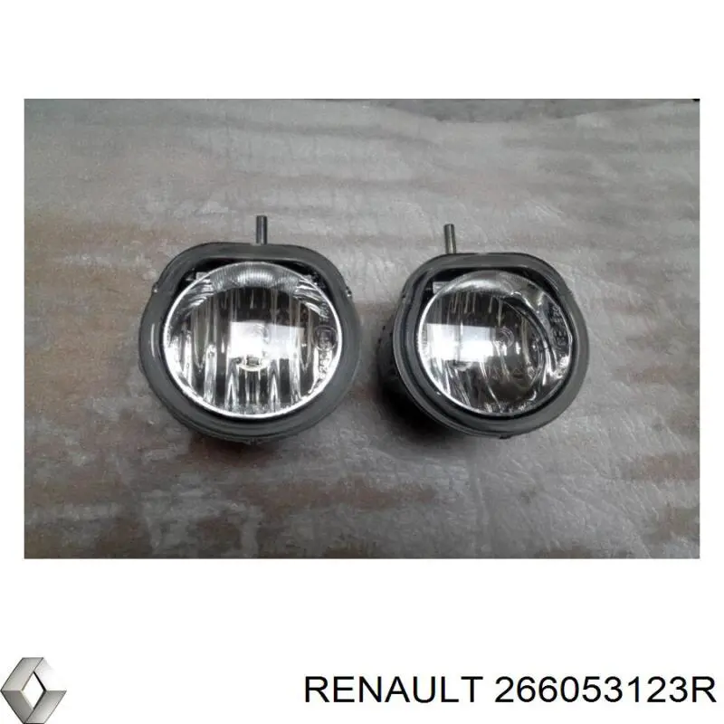  266053123R Renault (RVI)