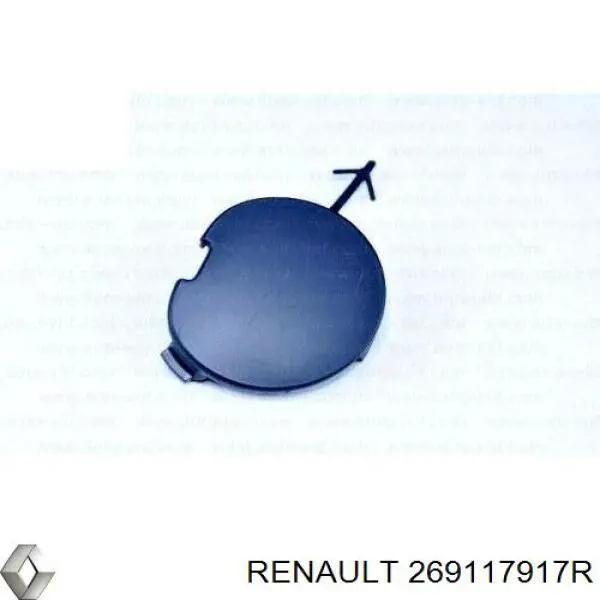 269117917R Renault (RVI) кронштейн кріплення протитуманною фари, правої