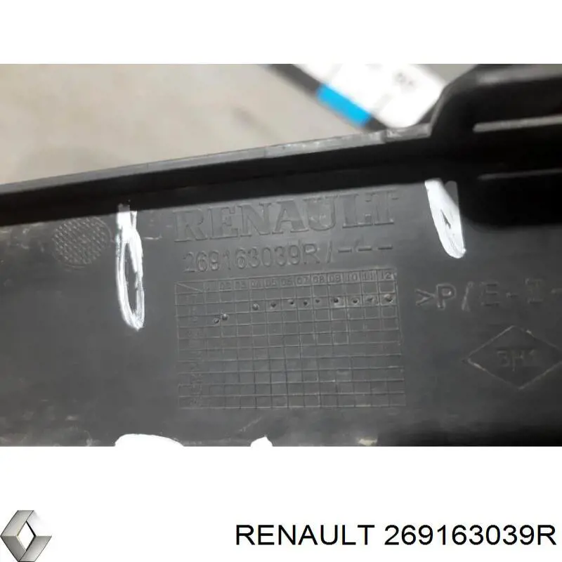  269163039R Renault (RVI)