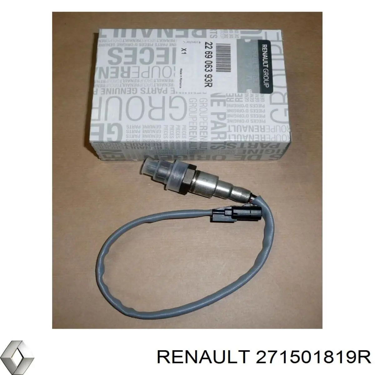 271501819R Renault (RVI) 