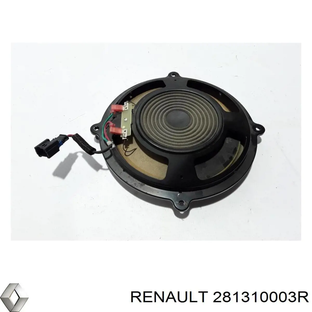 281310003R Renault (RVI) 