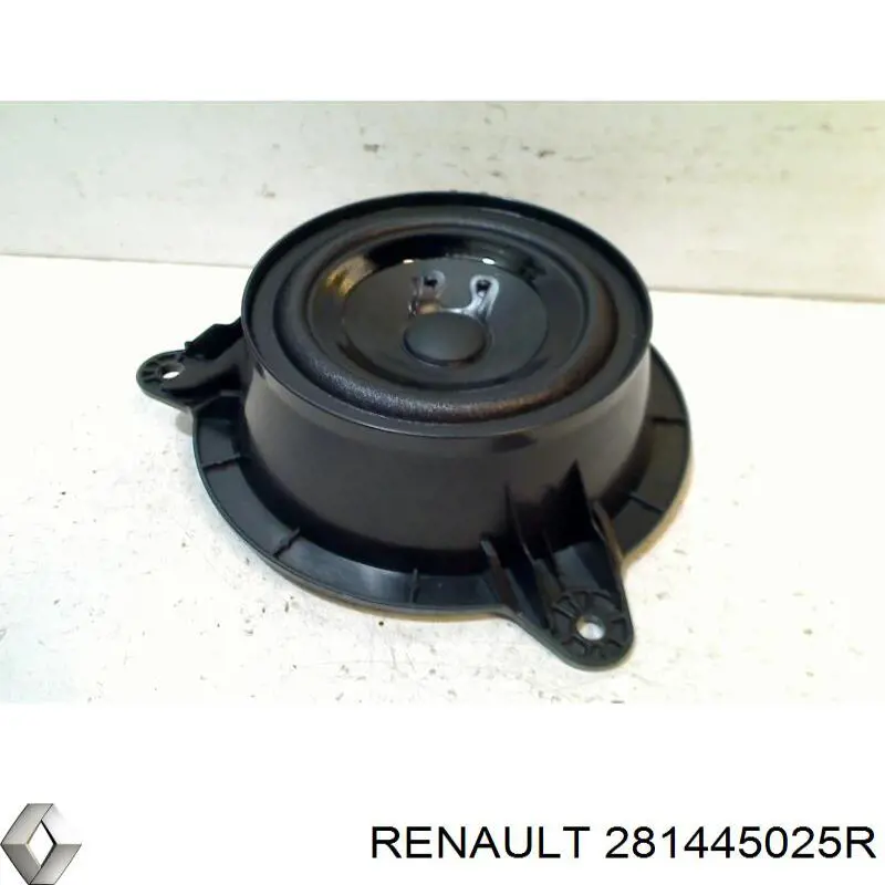 281445025R Renault (RVI) 