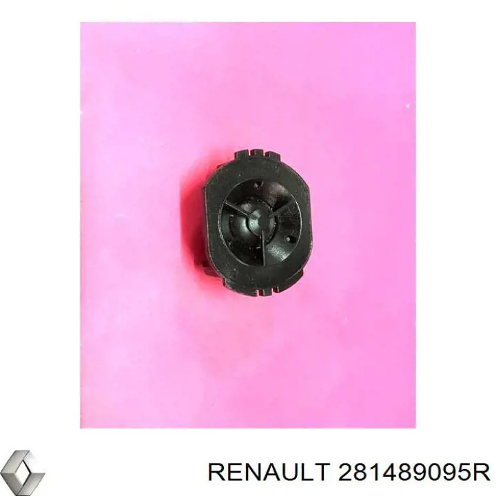 Динамік "торпедо" Renault (RVI) 281489095R ціна, від 5.64 USD