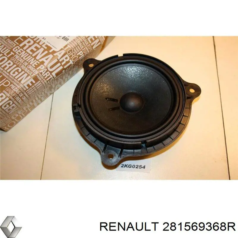  281569368R Renault (RVI)