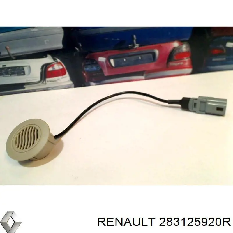  283125920R Renault (RVI)