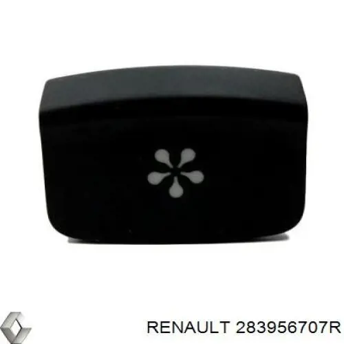283956707R Renault (RVI) 