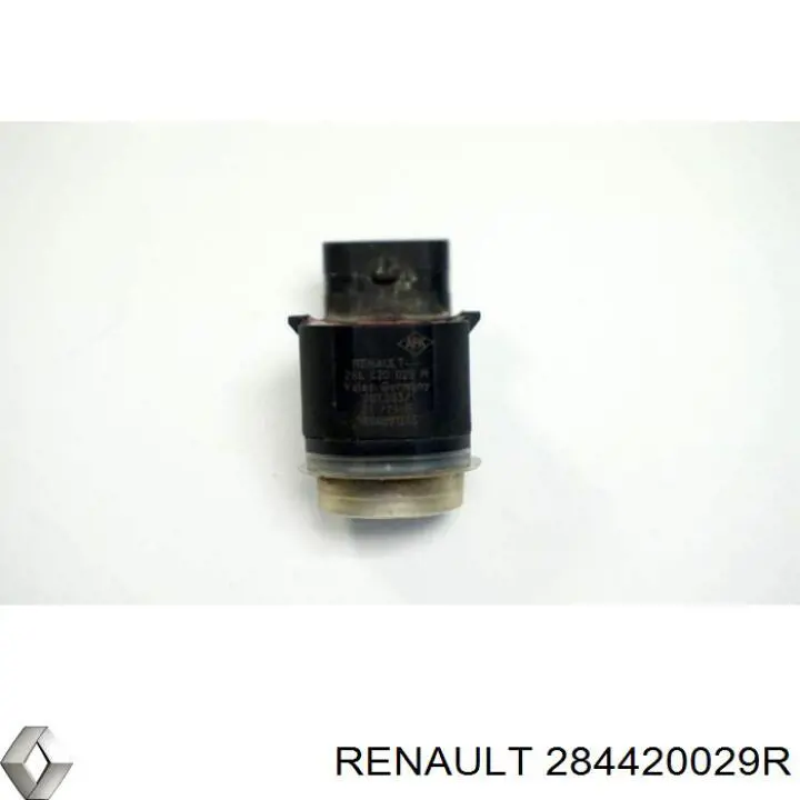 284420029R Renault (RVI) 