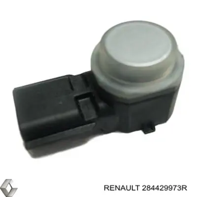  284429973R Renault (RVI)