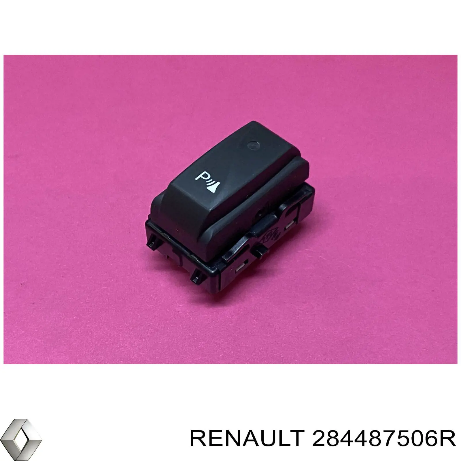  284487506R Renault (RVI)