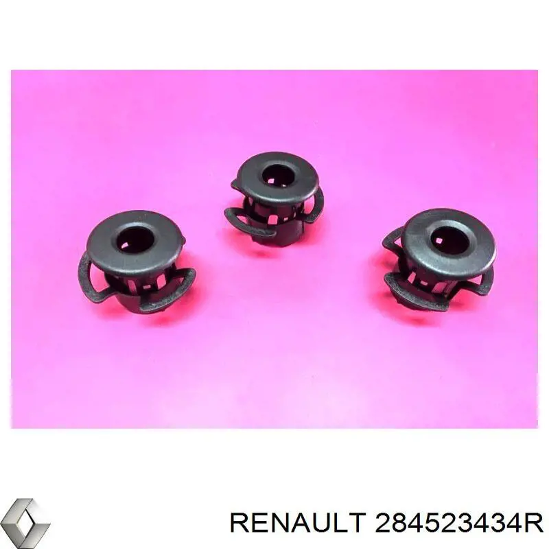 284523434R Renault (RVI) 
