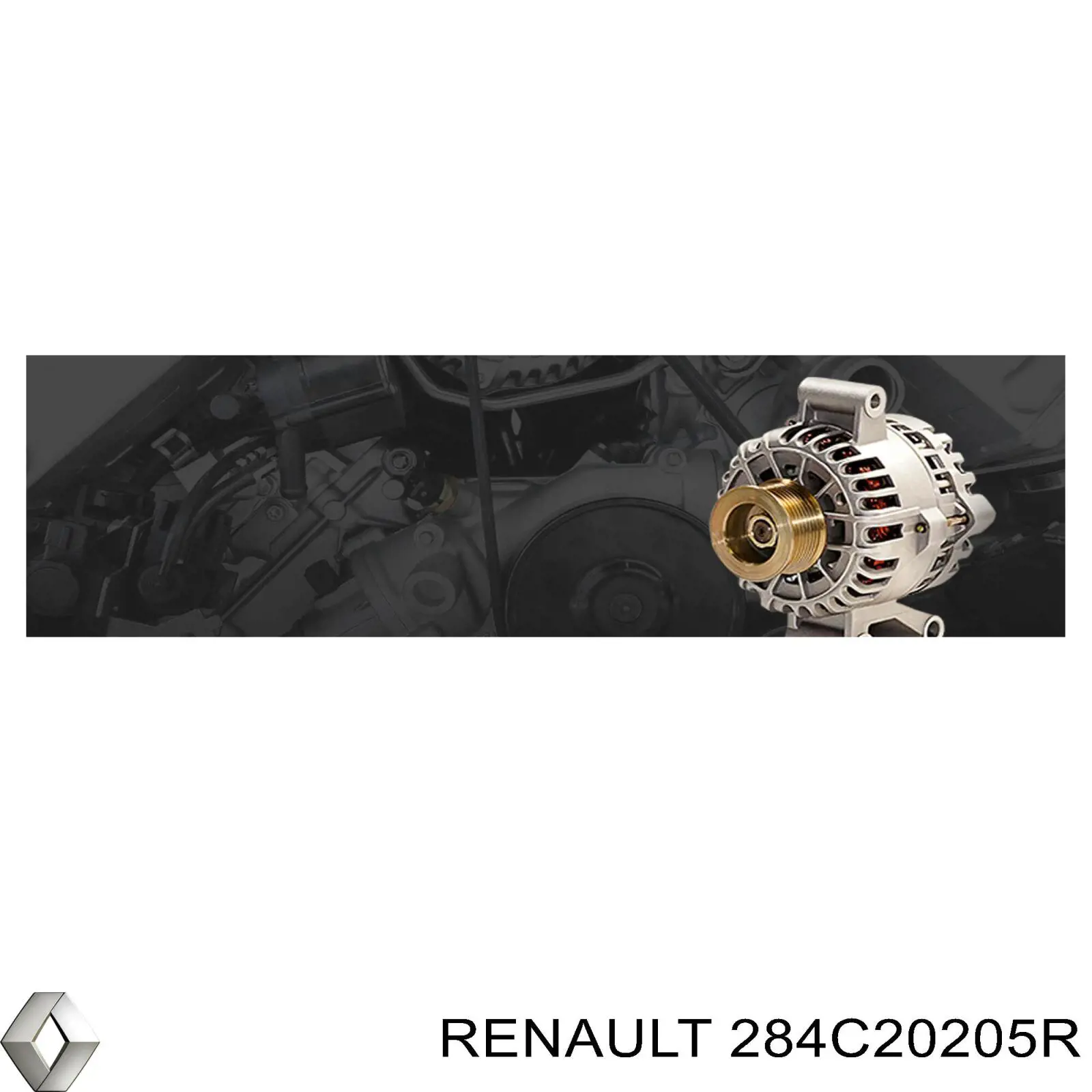 284C20205R Renault (RVI) 