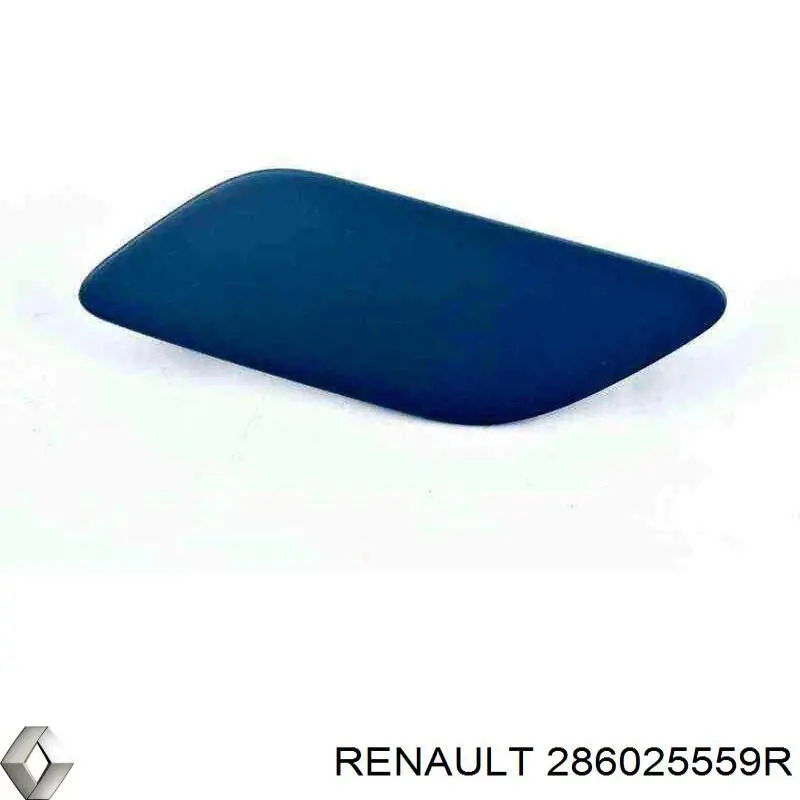  286025559R Renault (RVI)