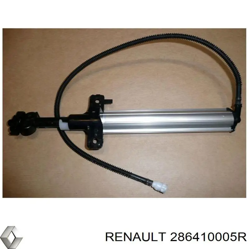  286410005R Renault (RVI)