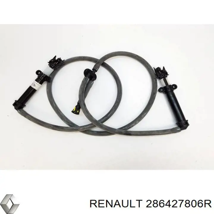  286427806R Renault (RVI)