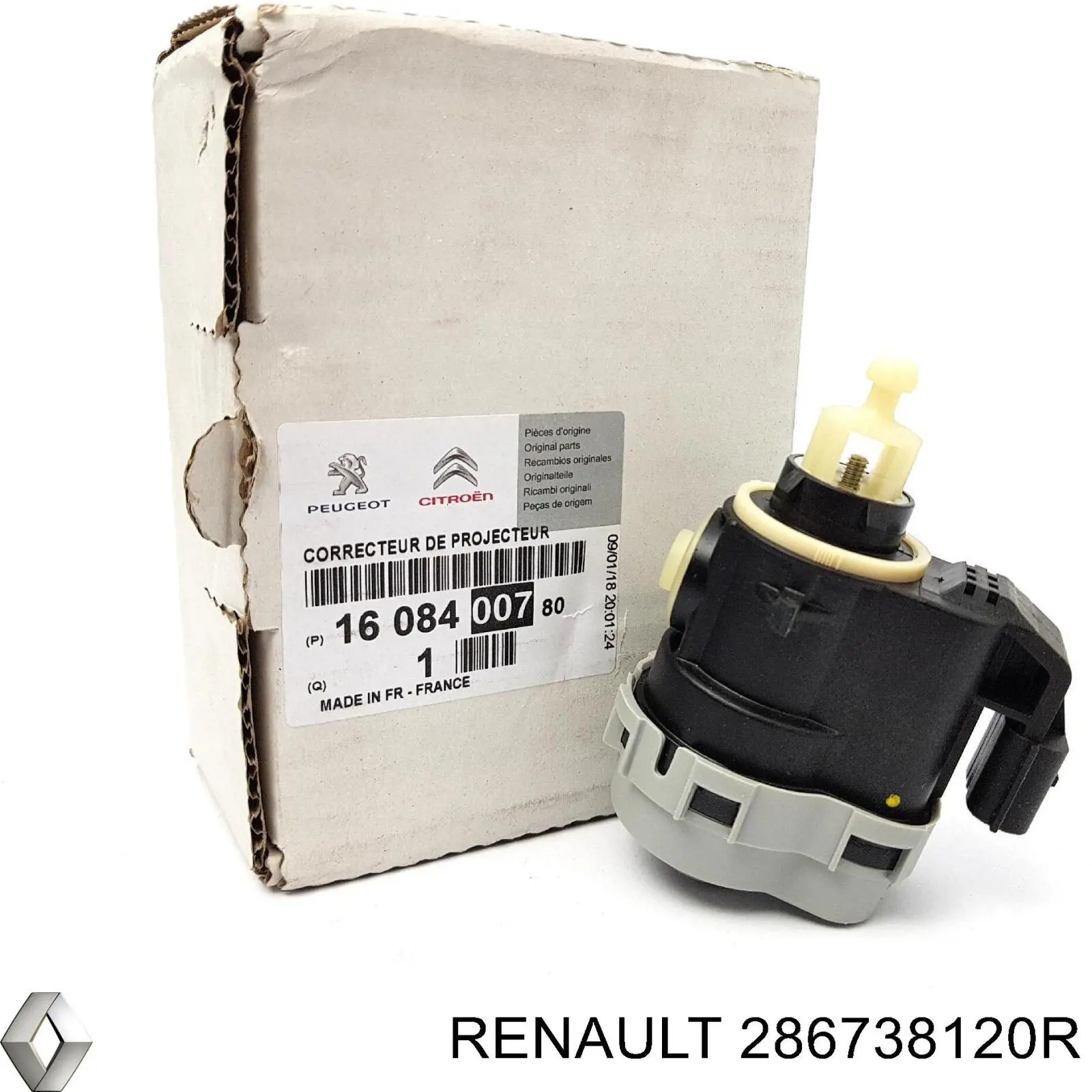  286738120R Renault (RVI)