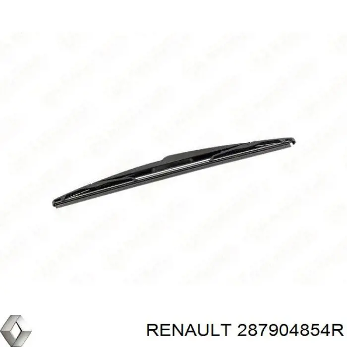 Купити 287904854R Renault (RVI) 