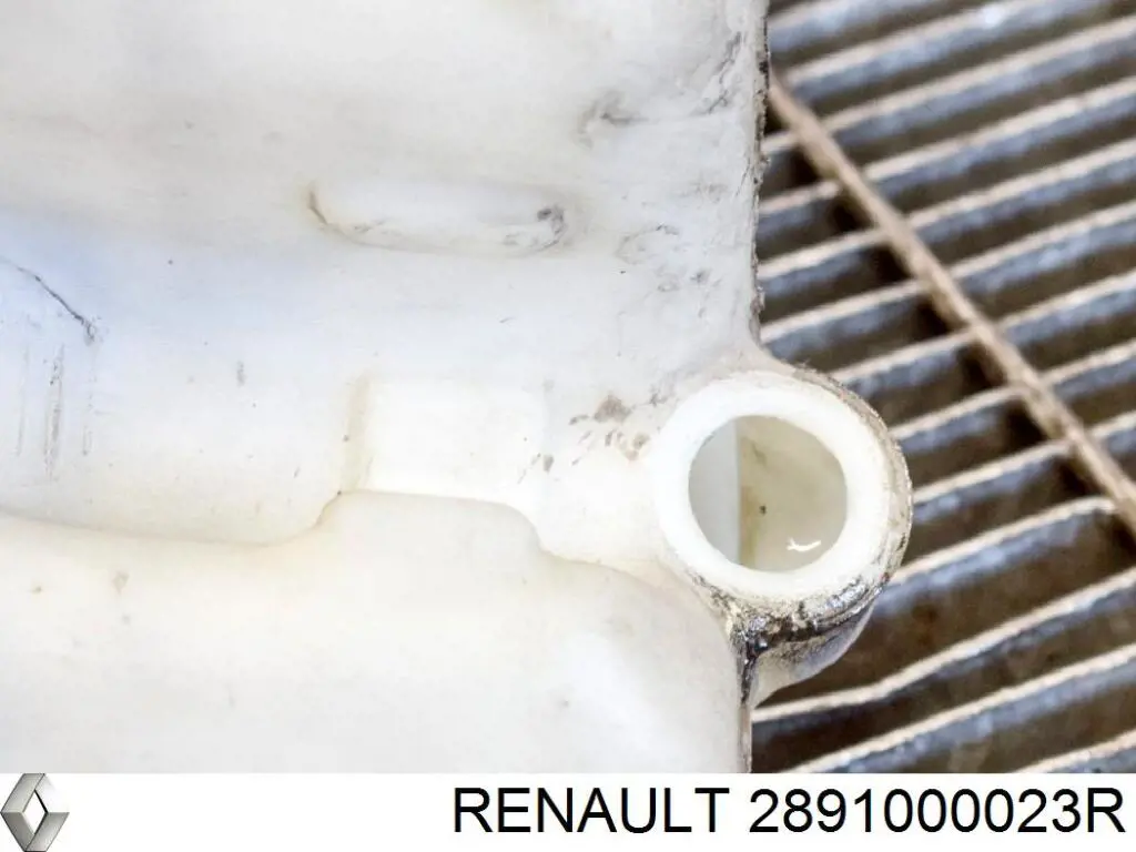 Бачок омивача 2891000023R Renault (RVI)