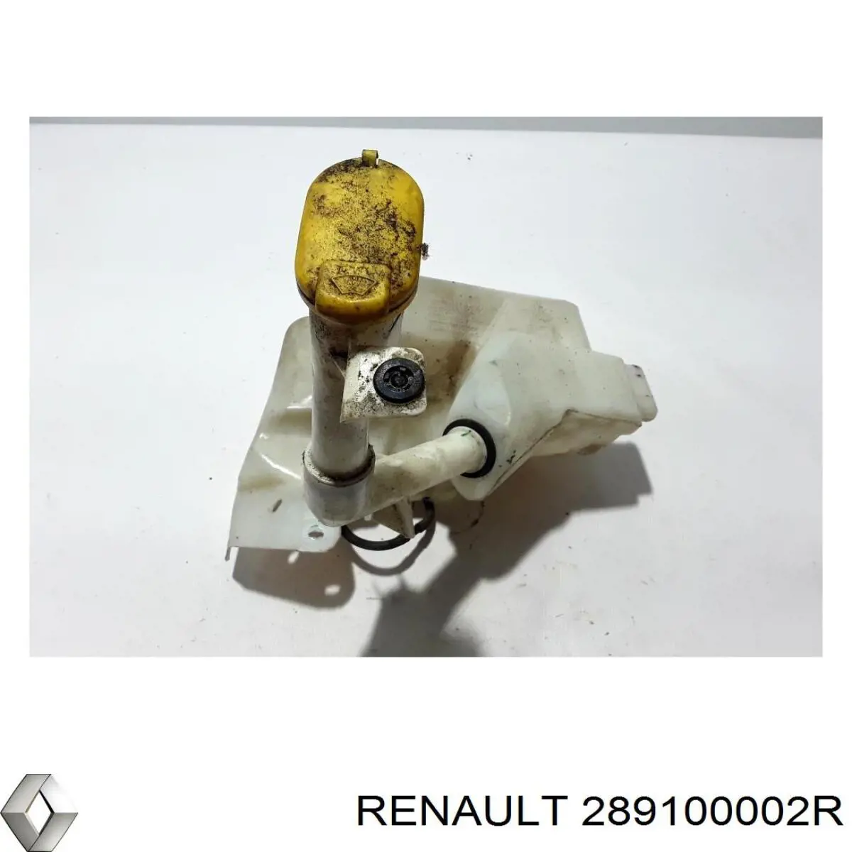 Купити 289100002R Renault (RVI) 