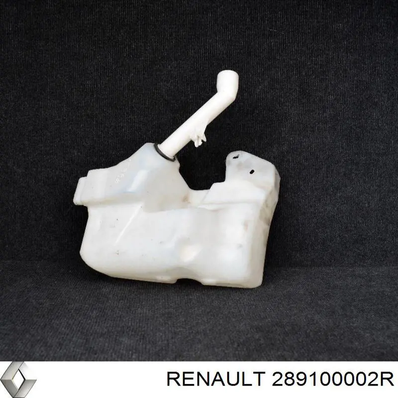289100002R Renault (RVI) 