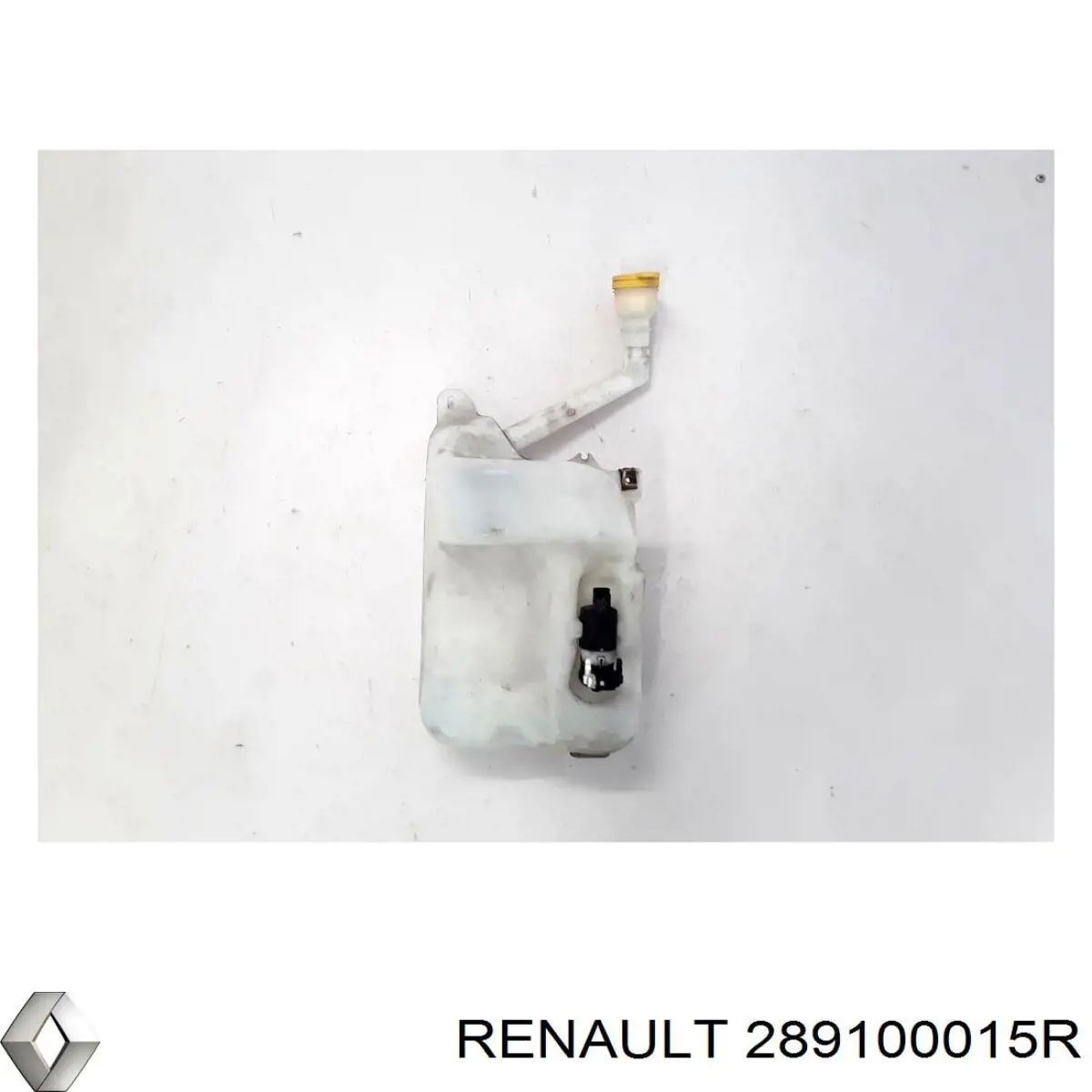 289100015R Renault (RVI) 
