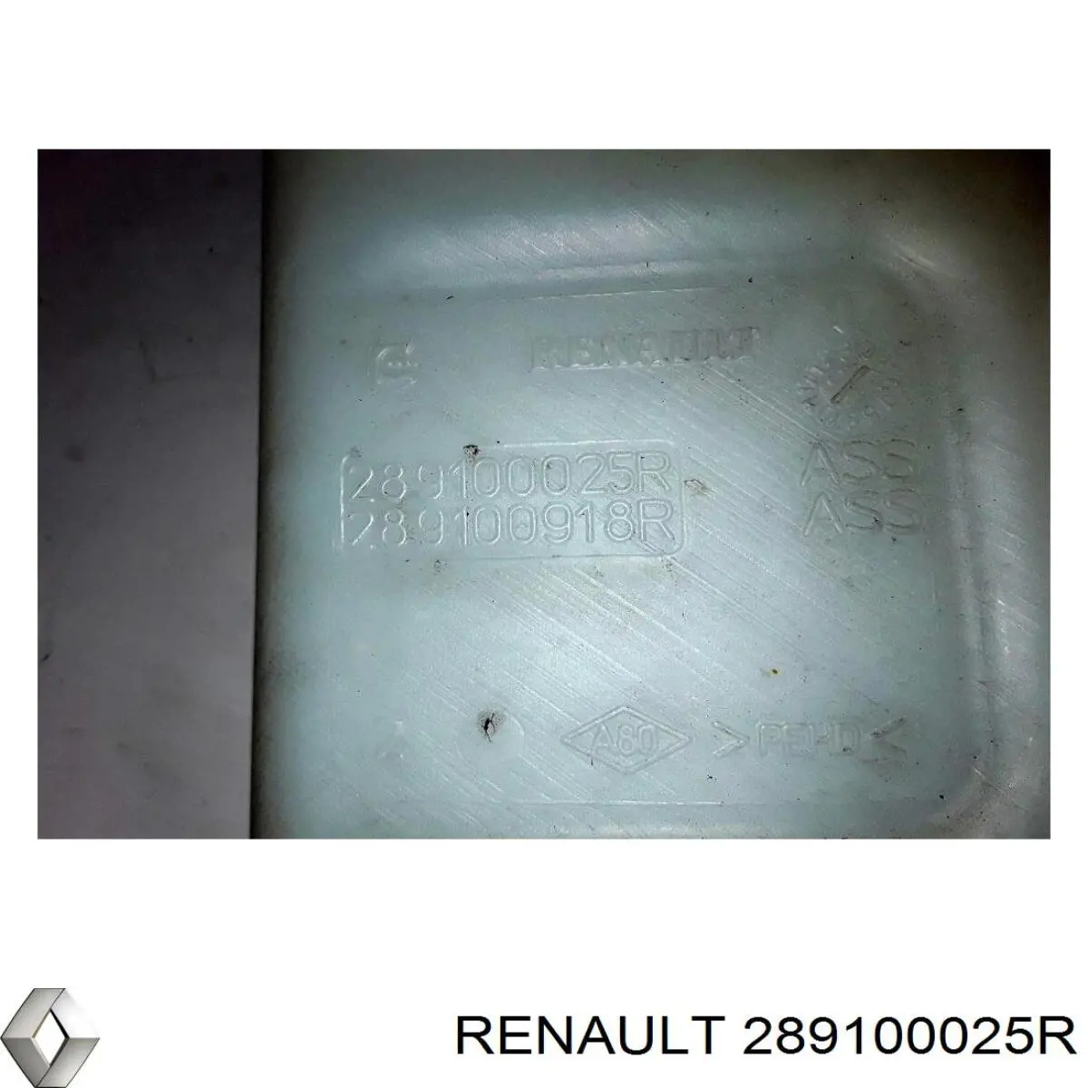  Renault (RVI) 289100025R ціна, від 25.37 USD