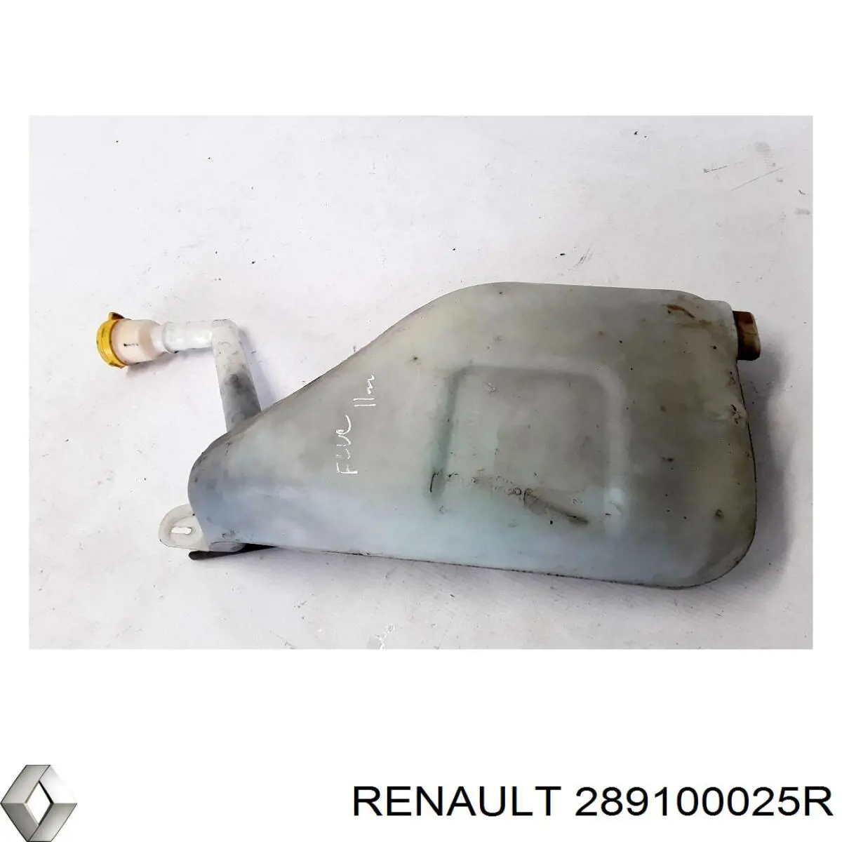 Купити 289100025R Renault (RVI) 