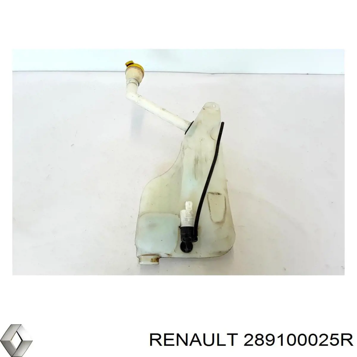 289100025R Renault (RVI) 