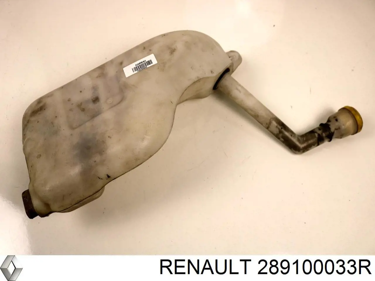  289100033R Renault (RVI)