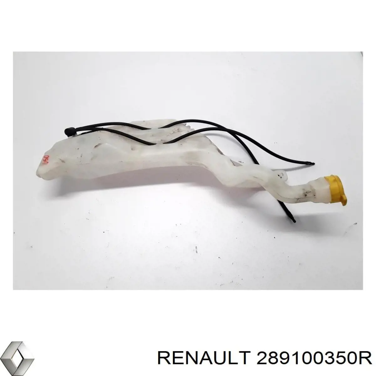 289100350R Renault (RVI) 