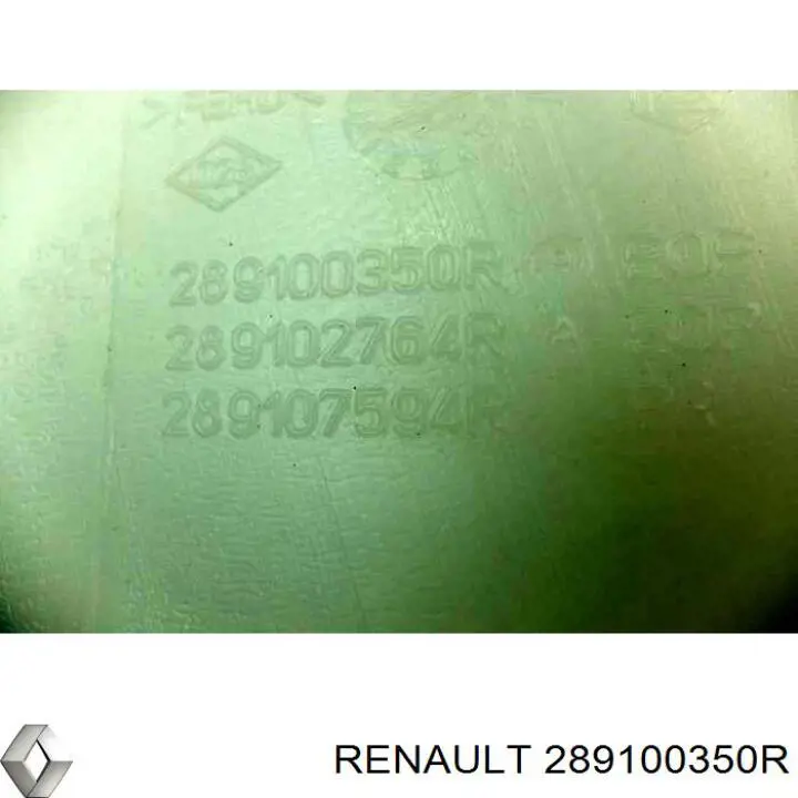  289100350R Renault (RVI)