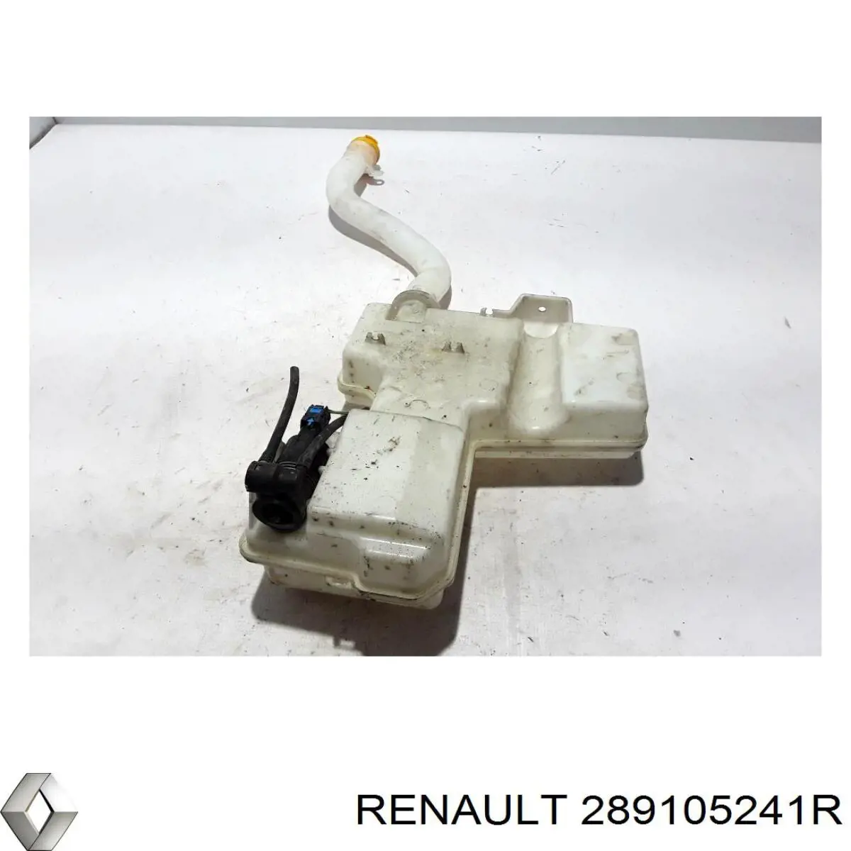 Бачок омивача 289105241R Renault (RVI)