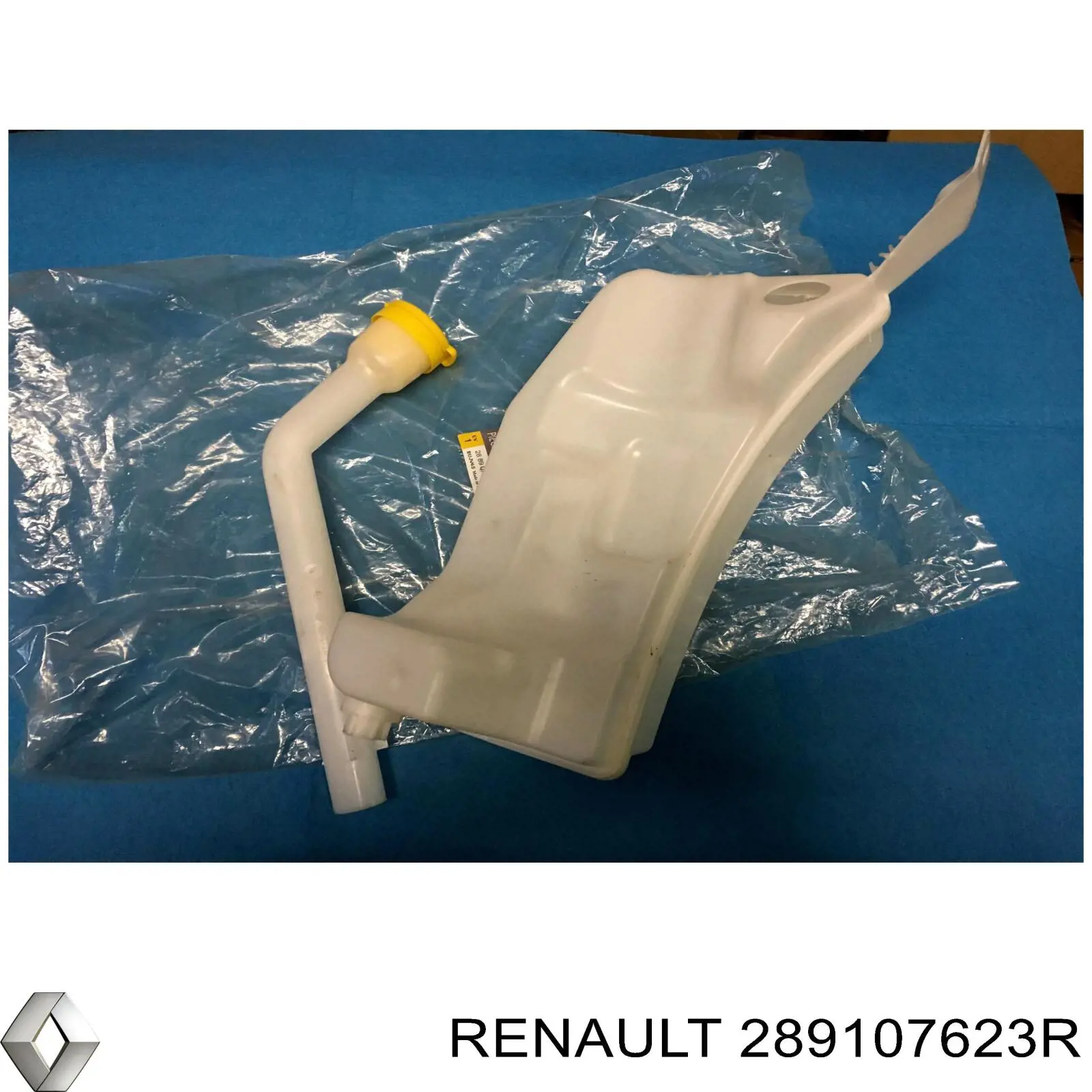 289107623R Renault (RVI) Бачок склоомивача