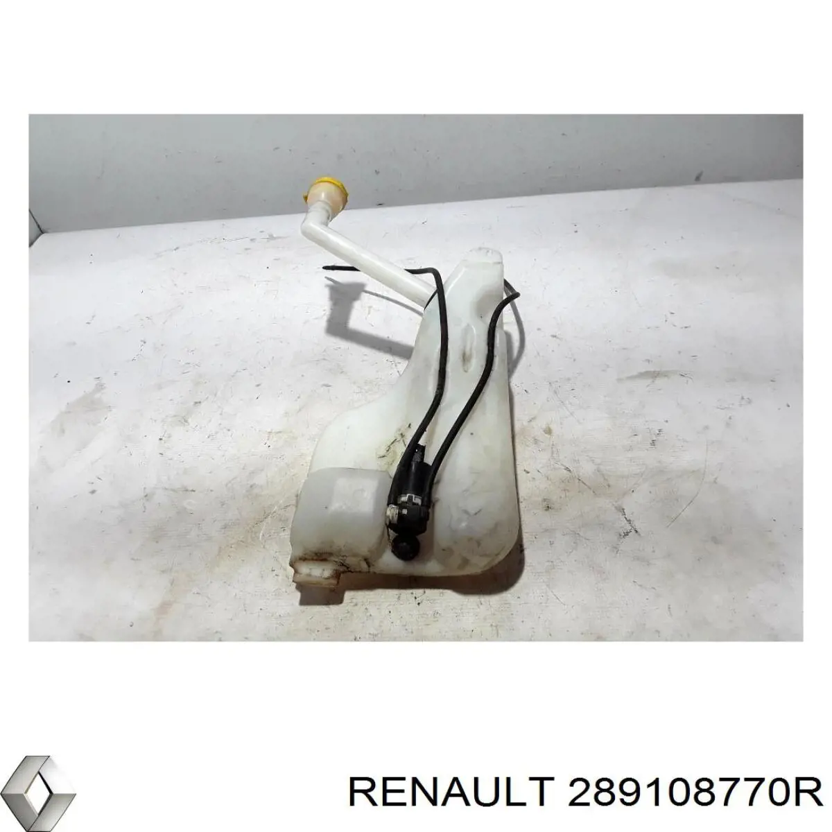 289108770R Renault (RVI) 