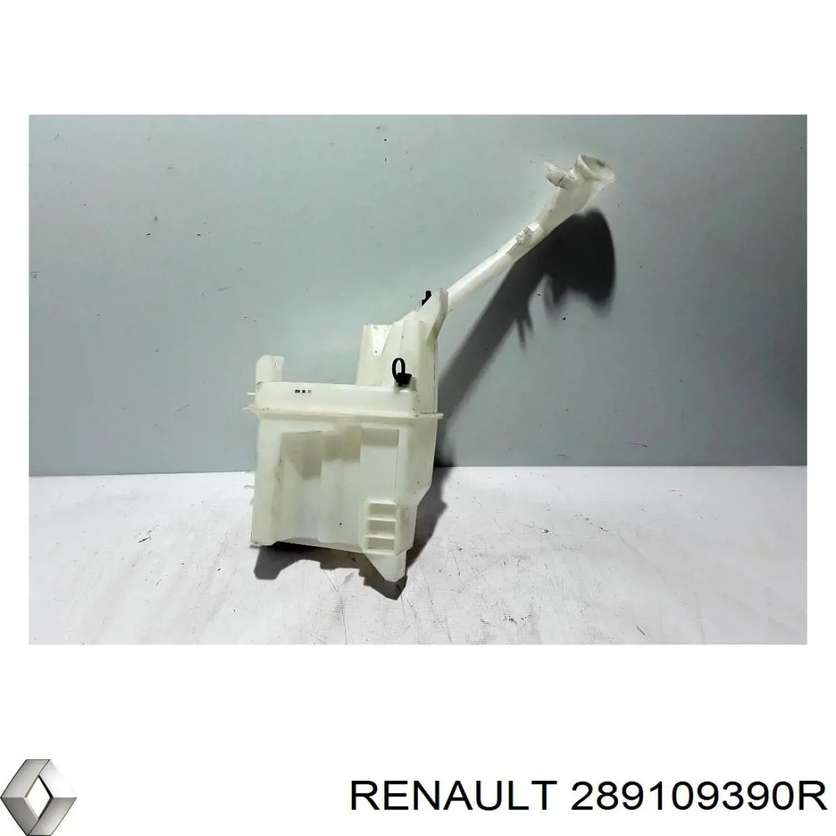  289109390R Renault (RVI)