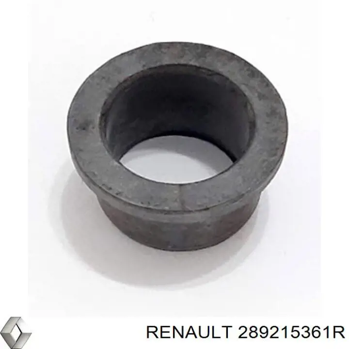 289215361R Renault (RVI) ущільнююче кільце насоса омивача