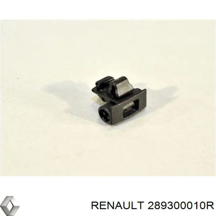 289300010R Renault (RVI) форсунка омивача лобового скла