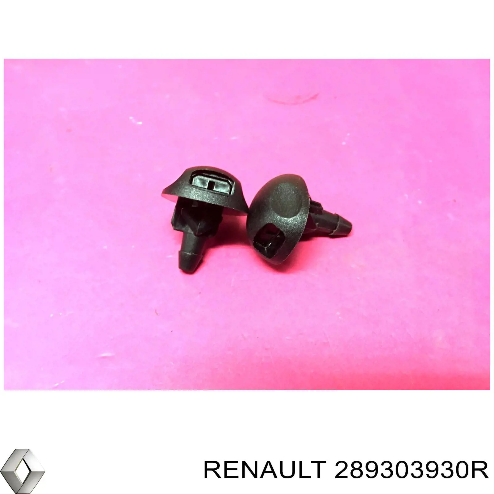  Renault (RVI) 289303930R ціна, від 17.88 USD