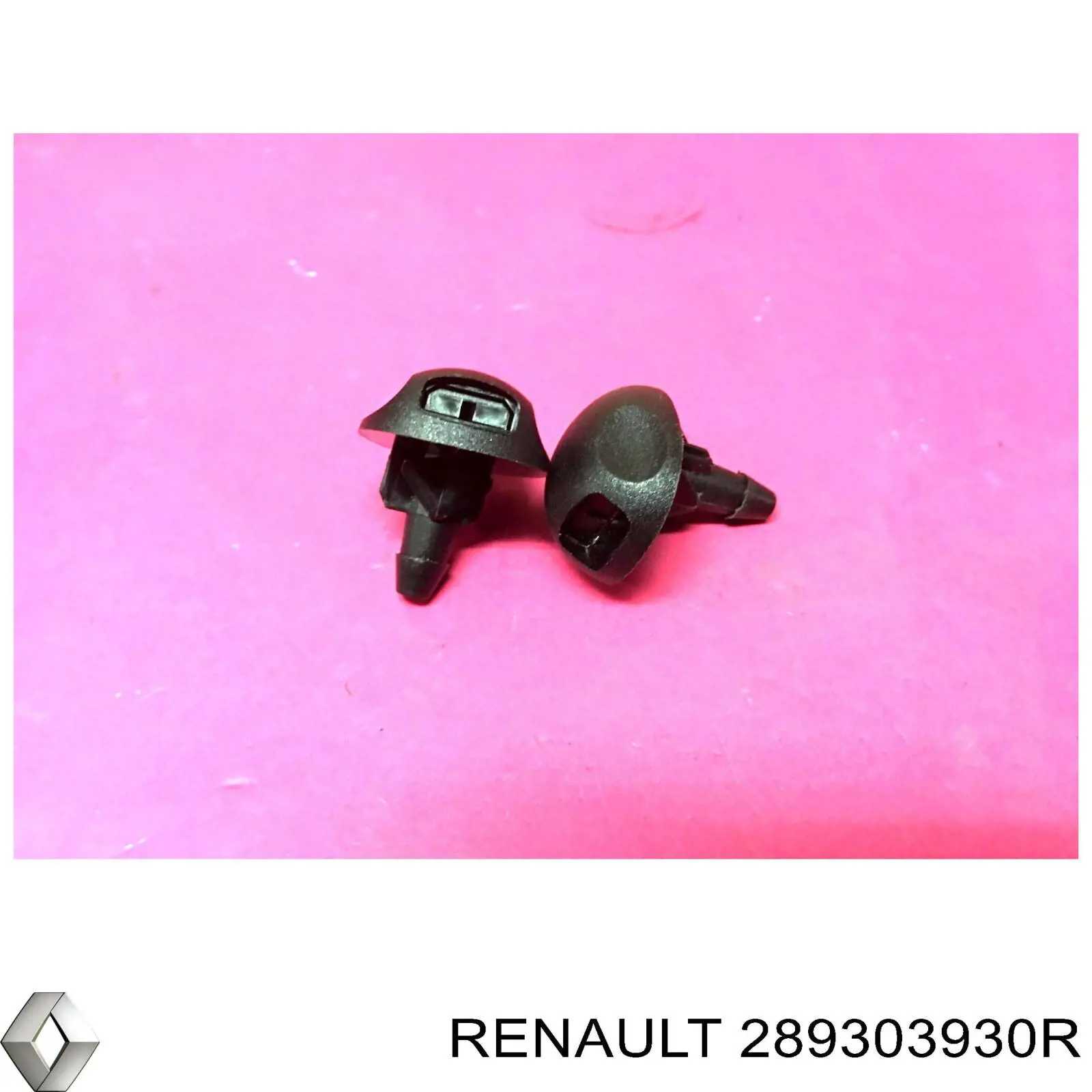  289303930R Renault (RVI)