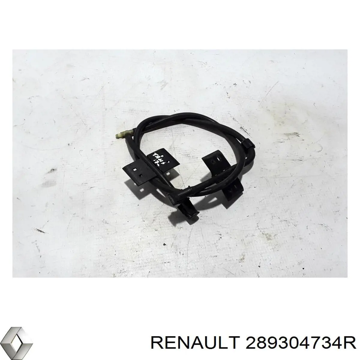  289304734R Renault (RVI)