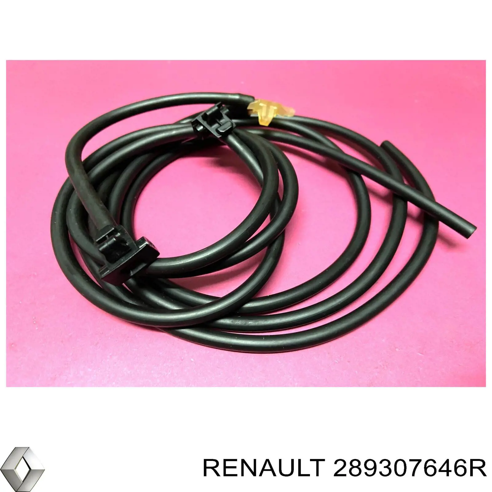 Сопло омивача лобового скла Renault (RVI) 289307646R ціна, від 24.58 USD