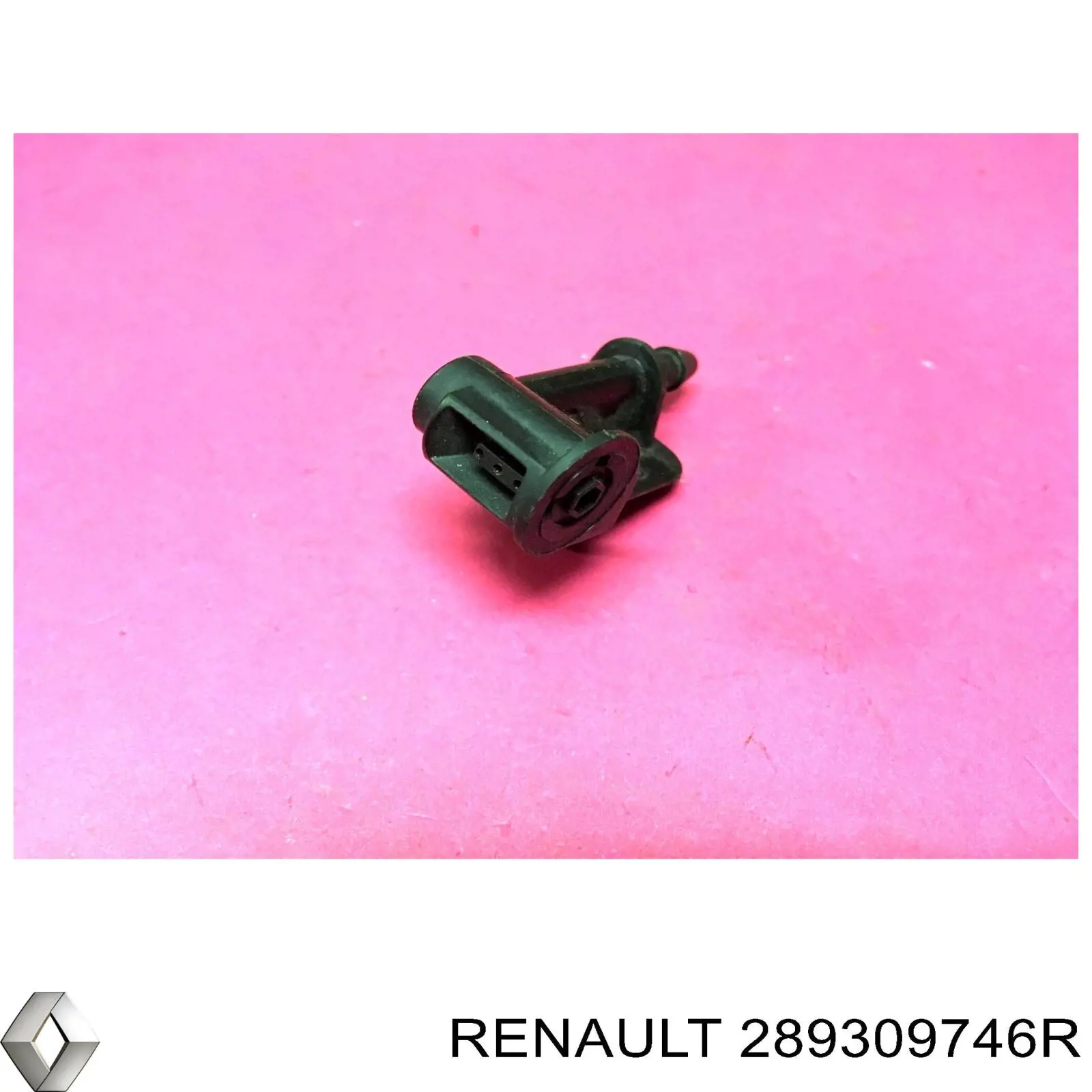 Купити 289309746R Renault (RVI) Форсунка омивача