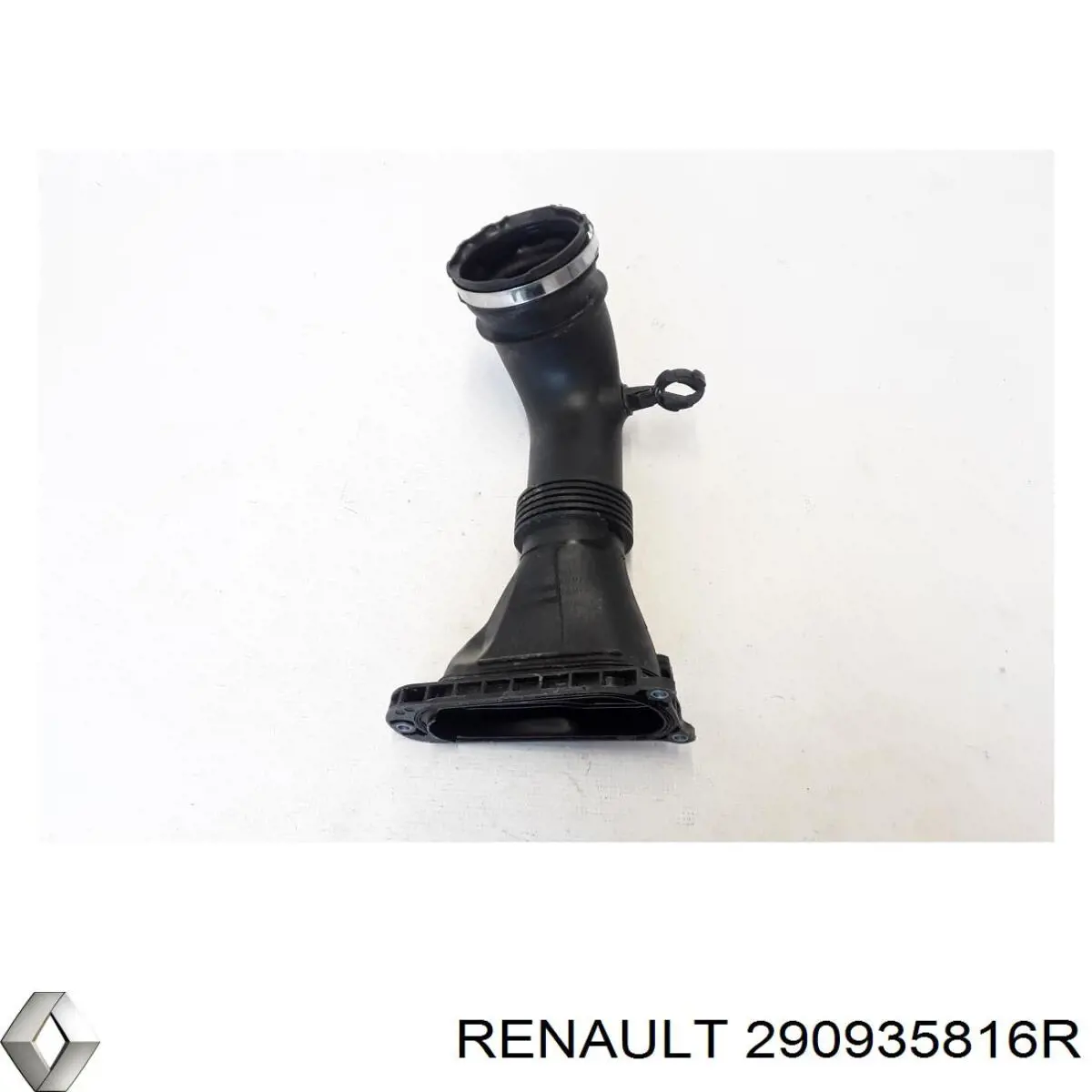 290935816R Renault (RVI) 