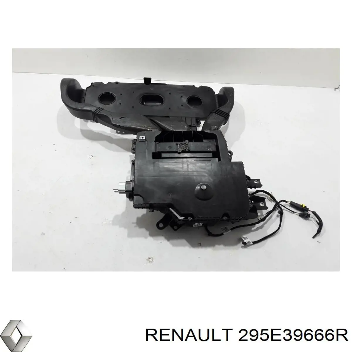295E39666R Renault (RVI) 