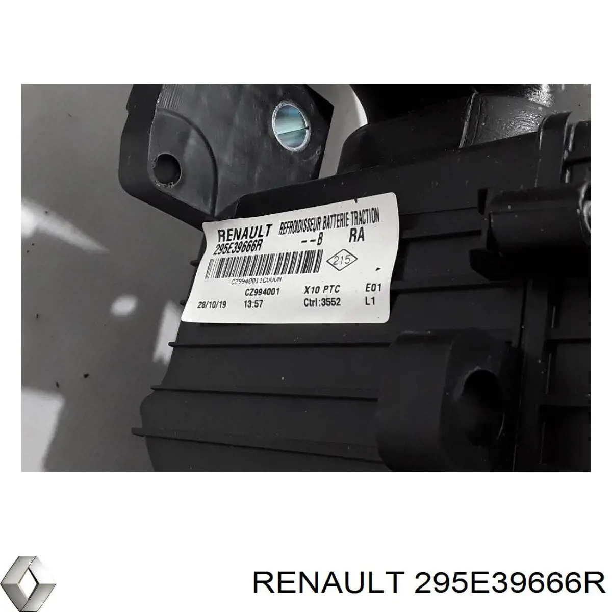 Купити 295E39666R Renault (RVI) 