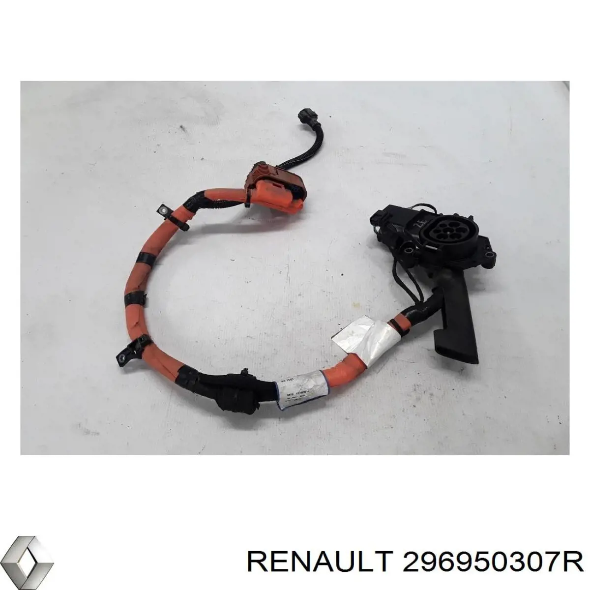  296950307R Renault (RVI)