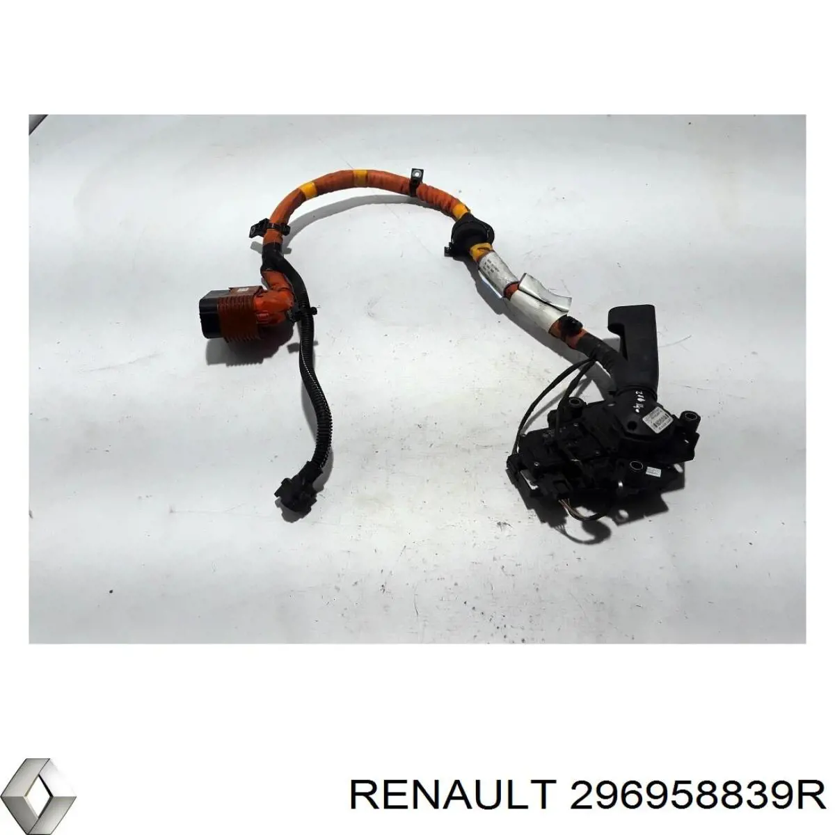  296958839R Renault (RVI)