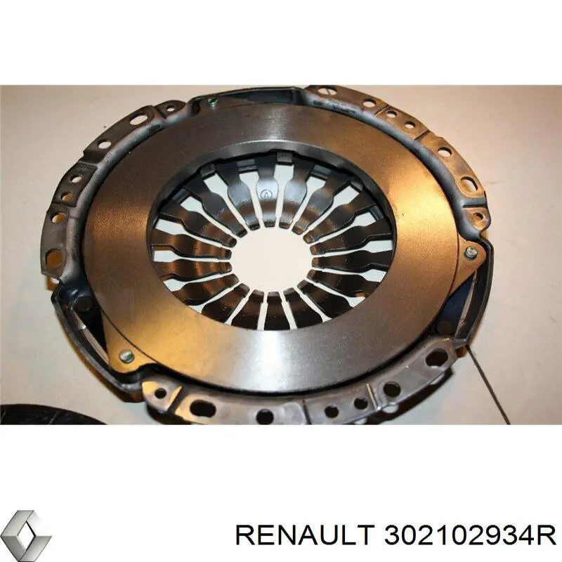  302102934R Renault (RVI)